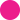 Fuksia