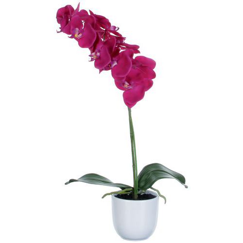 Kunstig Phalaenopsis Orchid 60cm - Vepabins