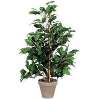 Ficus Exotica Kunstig plante 65cm - Vepabins